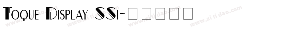 Toque Display SSi字体转换